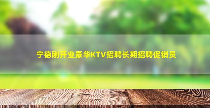 宁德刚开业豪华KTV招聘长期招聘促销员